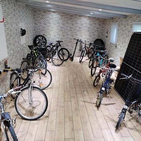 Pension Zum Ringelberg Erfurt Bagian luar foto